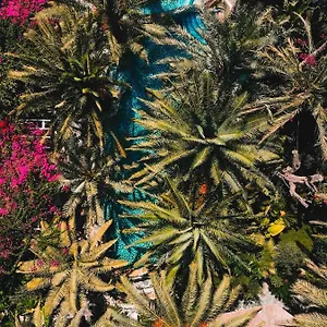 Flamingo & - Pet Friendly Otel Ölüdeniz